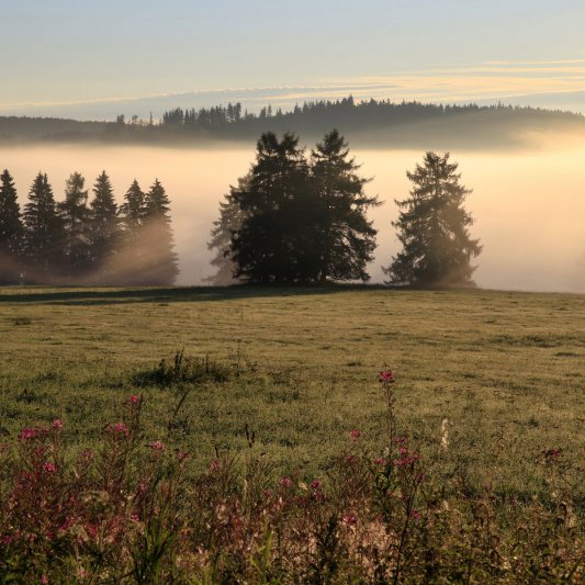 Měnič obrázků - fotografie