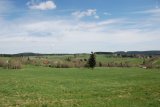 dsc-4934-thmb.jpg