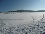 p1150319-thmb.jpg
